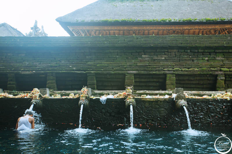 峇里島聖泉寺2