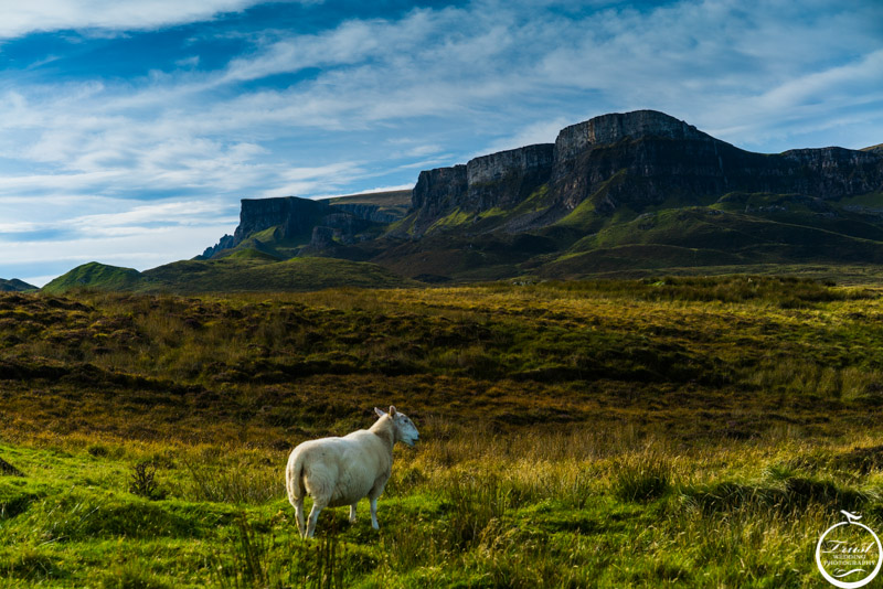 ISLE OF SKYE