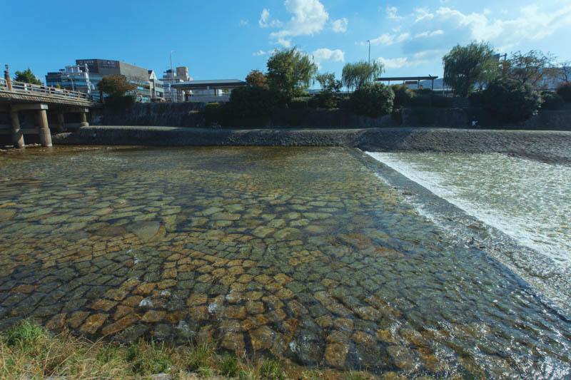 京都鴨川風景7