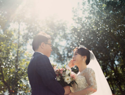 婚禮紀錄|台北商業攝影|westin威斯丁婚禮攝影|台北桃園婚攝|海外婚攝|文定婚攝|wedding photography