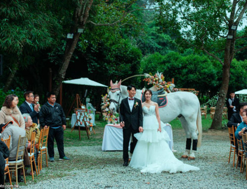 台中婚禮攝影|一抹森林|婚禮紀錄|台北婚攝|美式婚禮攝影風格|海外婚禮攝影師|婚紗攝影|商攝推薦