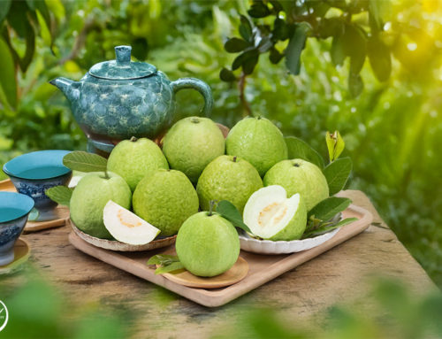 商品攝影|水果年曆|美食攝影|fruit photography|台北攝影師|商業攝影工作室|包裝攝影|亞馬遜蝦皮攝影